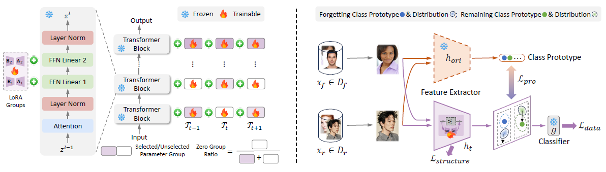 Left: LoRA modules on the FFN linears of each Transformer block, grouped per block, selected by group sparse regularization. Right: selective forgetting and knowledge retention with prototype regularization.